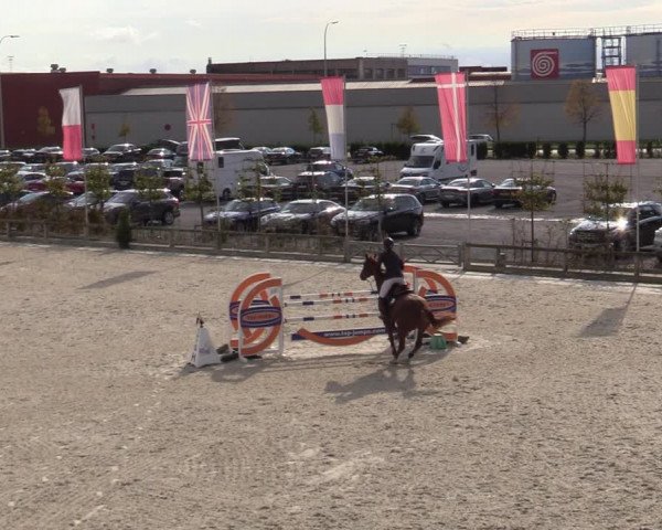 FEI Reitturnier Lier (BEL) 2020