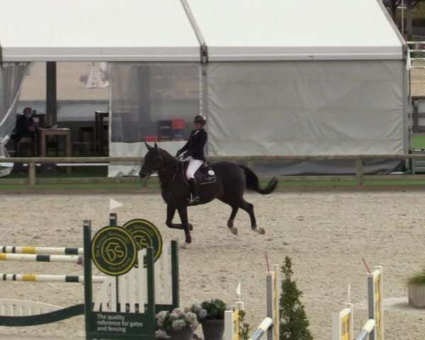 FEI Reitturnier Lier (BEL) 2020