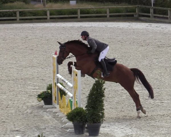 FEI Reitturnier Lier (BEL) 2020