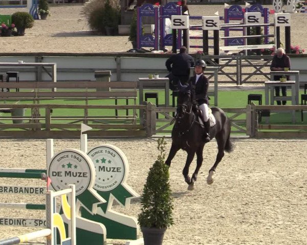 FEI Reitturnier Lier (BEL) 2020