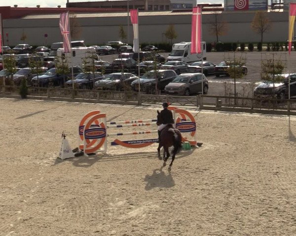 FEI Reitturnier Lier (BEL) 2020