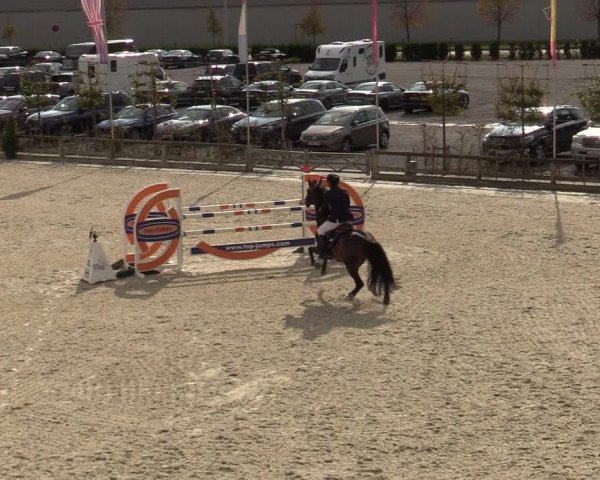 FEI Reitturnier Lier (BEL) 2020