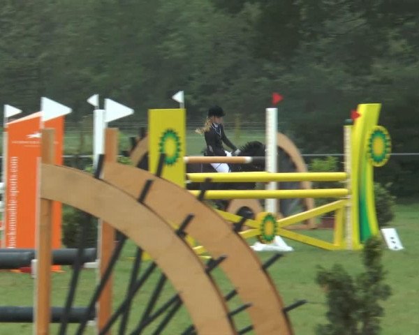 jumper Nora (German Riding Pony, 2005, from Nabucco R)