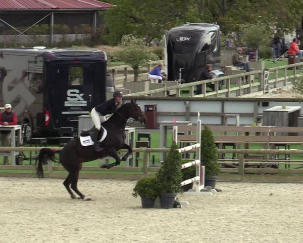 FEI Reitturnier Lier (BEL) 2020
