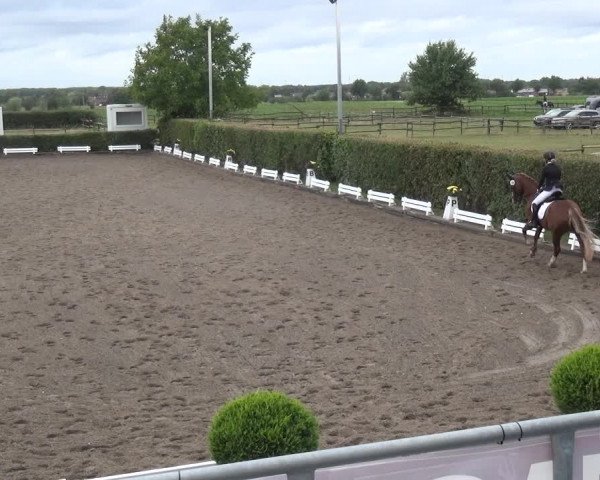 Reitturnier Übach-Palenberg - Scherpenseel 2020