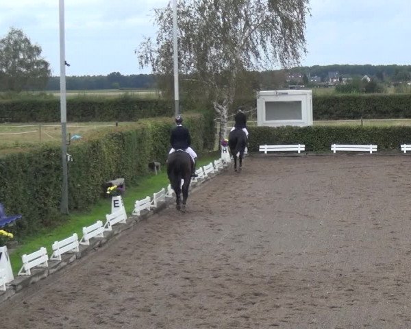 Reitturnier Übach-Palenberg - Scherpenseel 2020