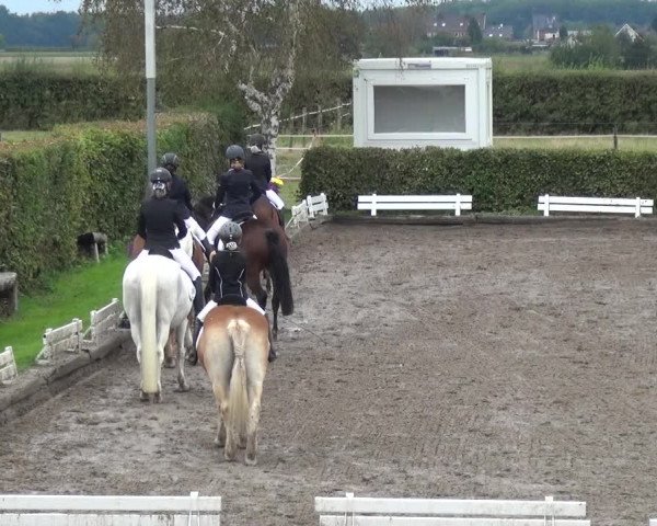 Reitturnier Übach-Palenberg - Scherpenseel 2020