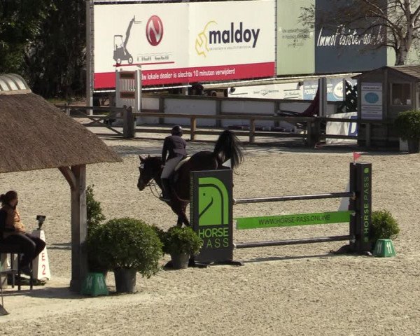 FEI Reitturnier Lier (BEL) 2020