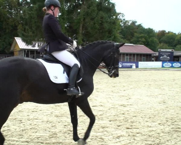 Reitturnier Hof Bettenrode 2020