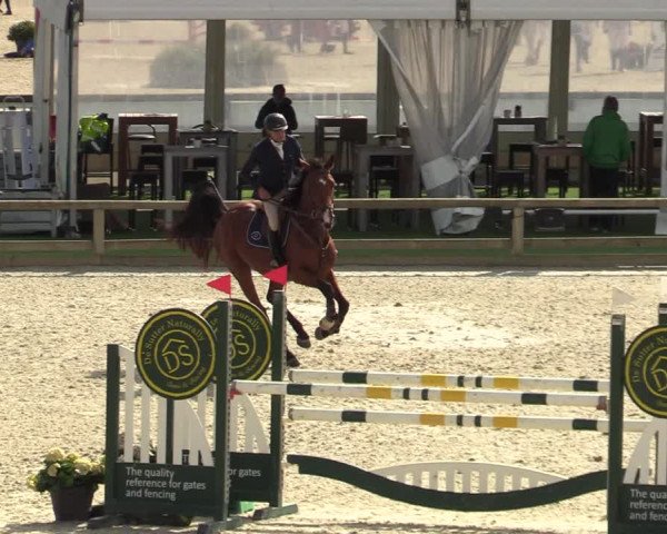 FEI Reitturnier Lier (BEL) 2020