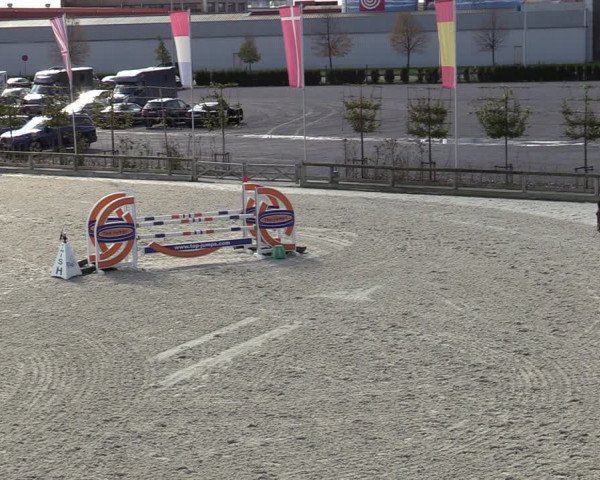 FEI Reitturnier Lier (BEL) 2020