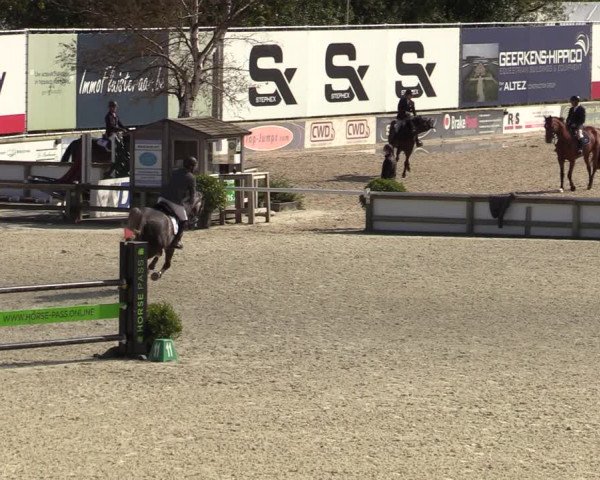 FEI Reitturnier Lier (BEL) 2020