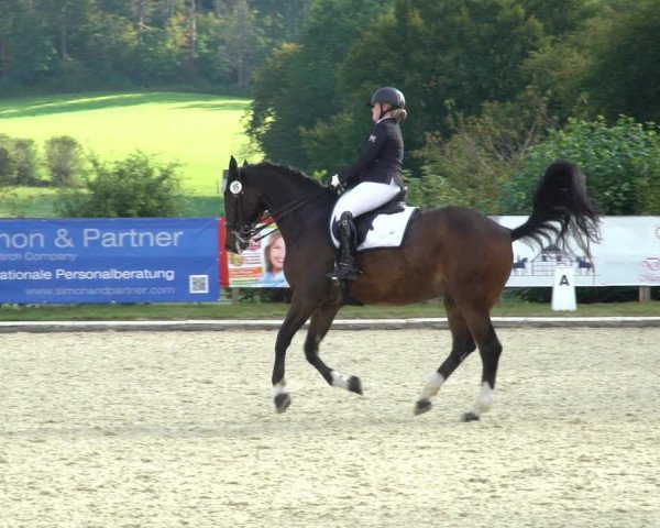 Reitturnier Hof Bettenrode 2020