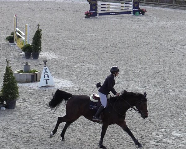 FEI Reitturnier Lier (BEL) 2020