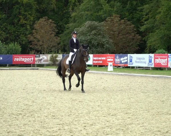 Reitturnier Hof Bettenrode 2020