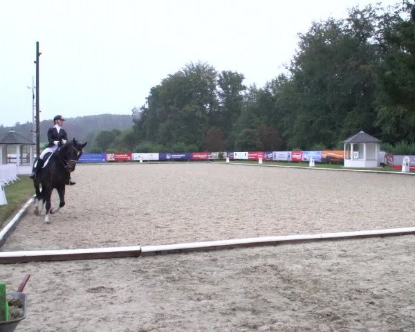 Reitturnier Hof Bettenrode 2020
