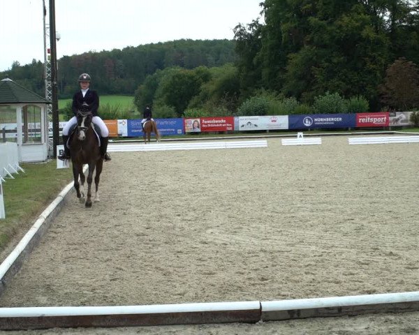 Reitturnier Hof Bettenrode 2020