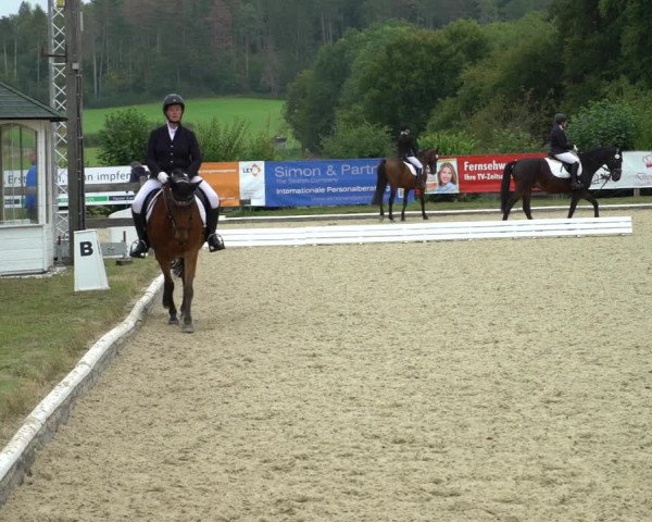 Reitturnier Hof Bettenrode 2020