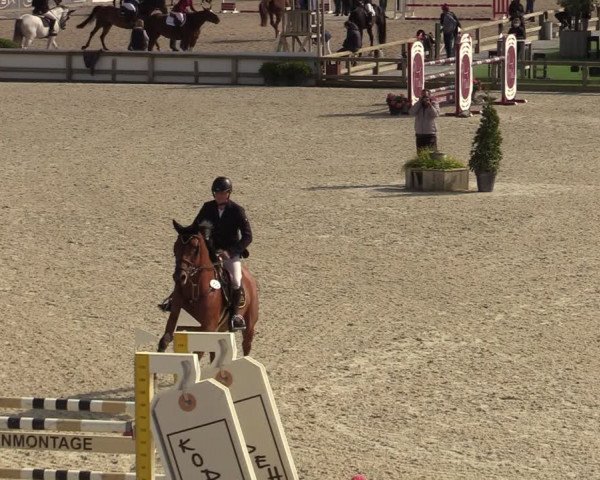 FEI Reitturnier Lier (BEL) 2020