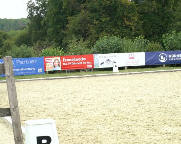Reitturnier Hof Bettenrode 2020