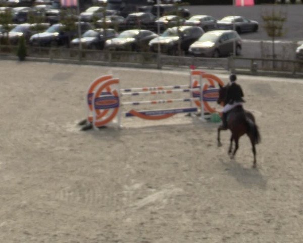 FEI Reitturnier Lier (BEL) 2020