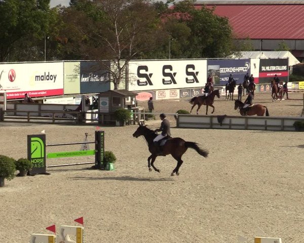 FEI Reitturnier Lier (BEL) 2020