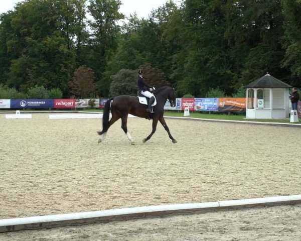 Reitturnier Hof Bettenrode 2020