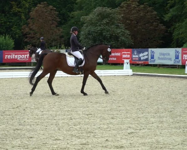Reitturnier Hof Bettenrode 2020
