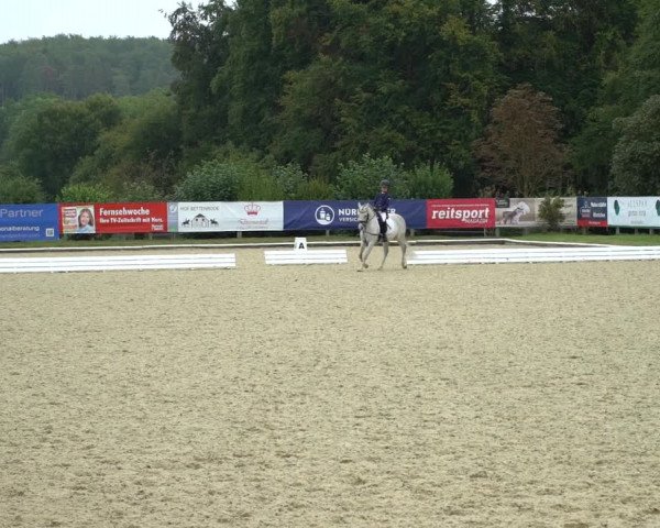 Reitturnier Hof Bettenrode 2020