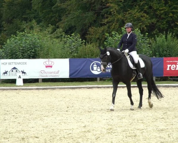 Reitturnier Hof Bettenrode 2020