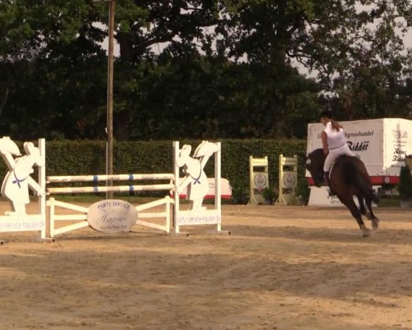 Cavallo da Dressage Great Weissena (Cavallo da Sella Tedesco, 2007, di World Dancer 008)