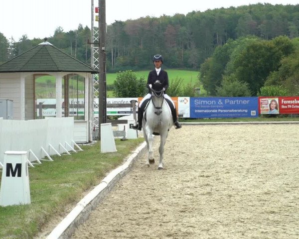 Reitturnier Hof Bettenrode 2020