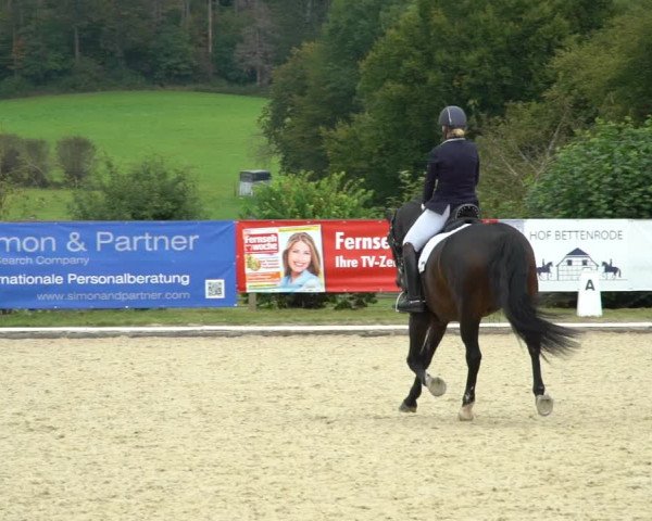 Reitturnier Hof Bettenrode 2020