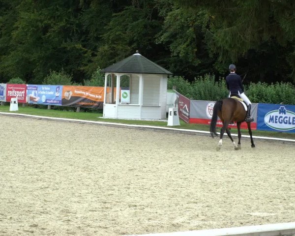 Reitturnier Hof Bettenrode 2020