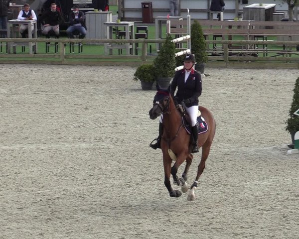 FEI Reitturnier Lier (BEL) 2020