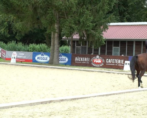 Reitturnier Hof Bettenrode 2020