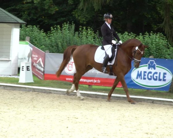Reitturnier Hof Bettenrode 2020