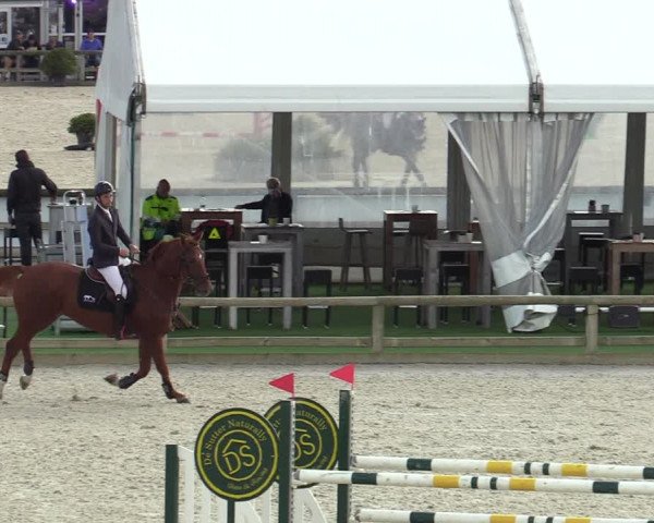 FEI Reitturnier Lier (BEL) 2020