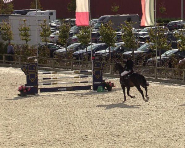 FEI Reitturnier Lier (BEL) 2020