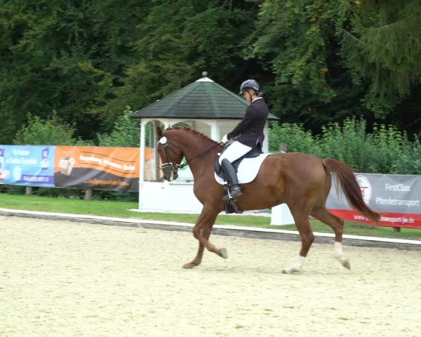 Reitturnier Hof Bettenrode 2020