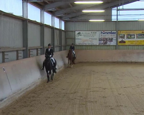 Reitturnier Bad Windsheim/Mfr. 2020