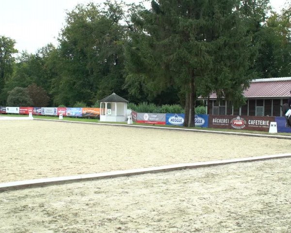Reitturnier Hof Bettenrode 2020