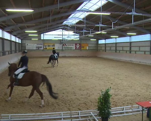 Reitturnier Bad Windsheim/Mfr. 2020