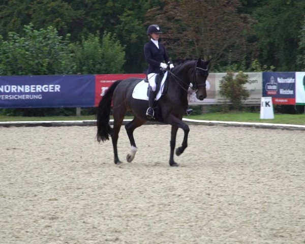 Reitturnier Hof Bettenrode 2020