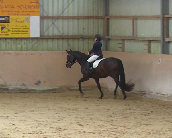 Reitturnier Bad Windsheim/Mfr. 2020