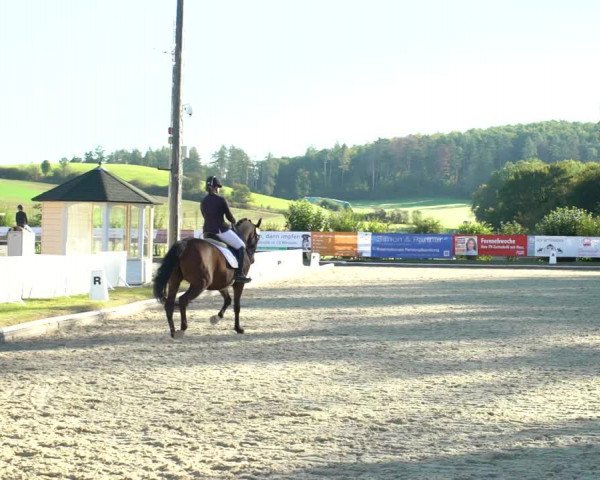Reitturnier Hof Bettenrode 2020
