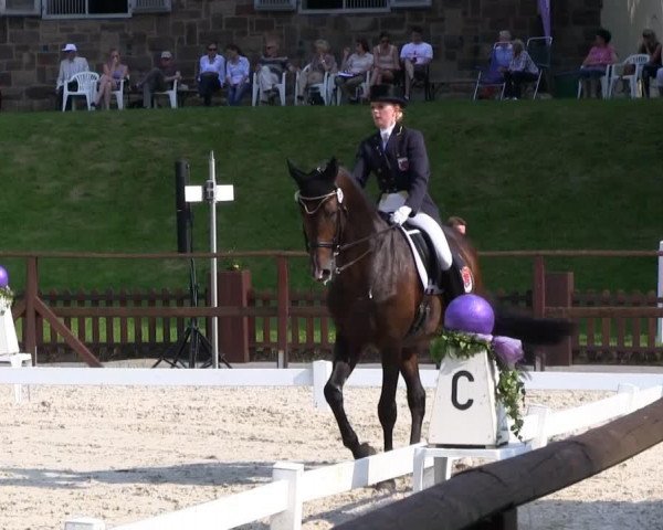 stallion Jefferson (Holsteiner, 1998, from Julio Mariner xx)