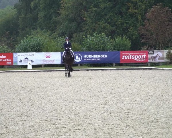 Reitturnier Hof Bettenrode 2020