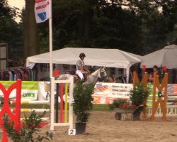 jumper Cicciolina 6 (KWPN (Royal Dutch Sporthorse), 2008, from Zürich)