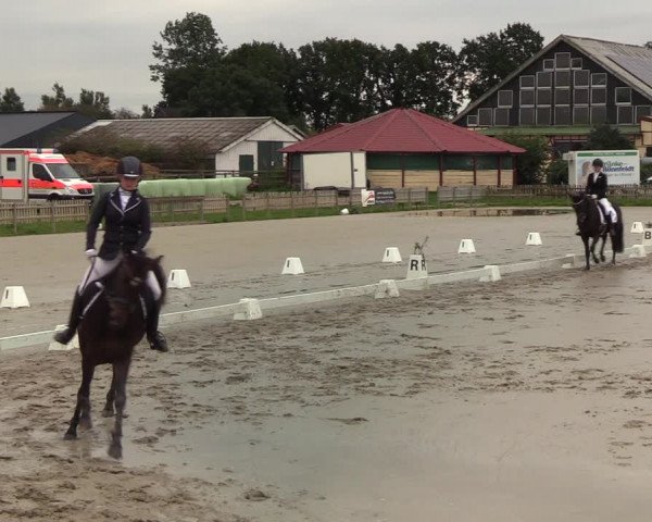 Reitturnier Schülp / Rendsburg 2020
